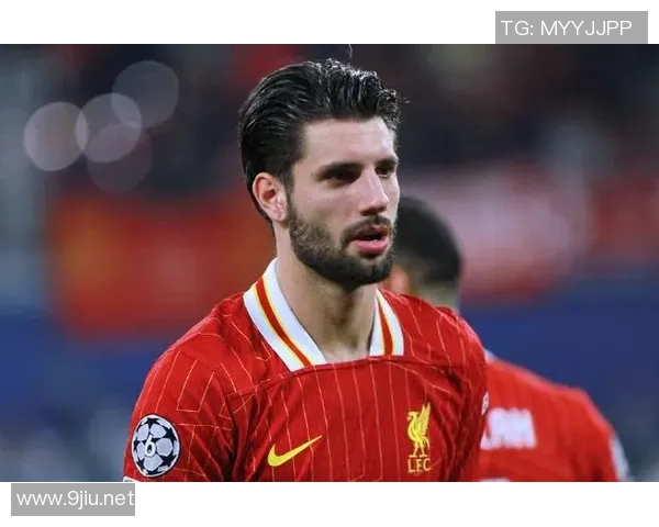 索博斯洛伊的历史传承与文化魅力探秘之旅